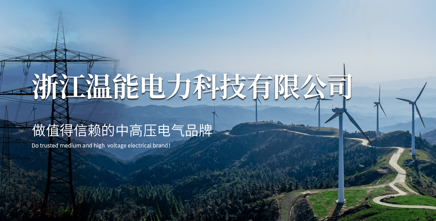 浙江溫能電力科技有限公司